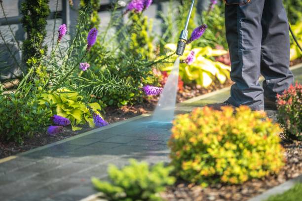 Best Patio and Deck Pressure Washing  in Falfurrias, TX