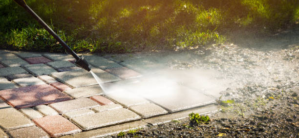 Best Solar Panel Cleaning  in Falfurrias, TX