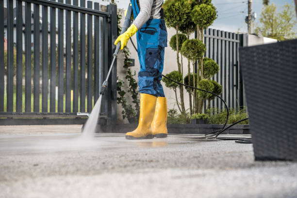 Best Animal Enclosure Cleaning  in Falfurrias, TX